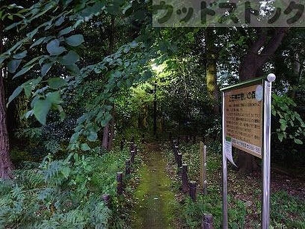 上石神井憩いの森 徒歩12分。 890m