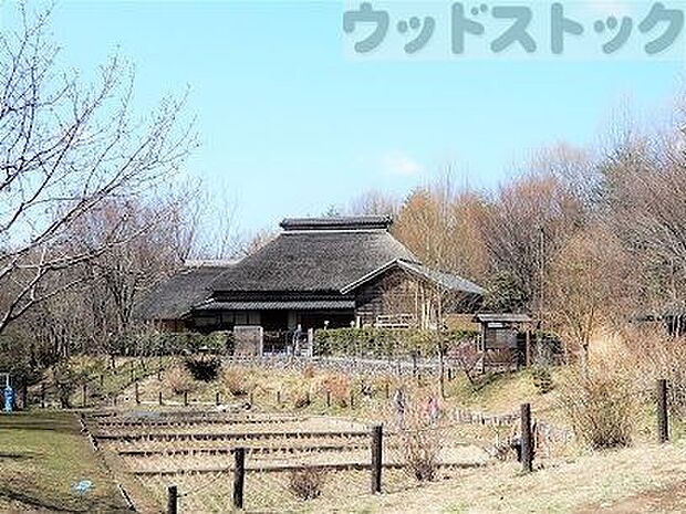 赤羽自然観察公園 徒歩14分。 1120m