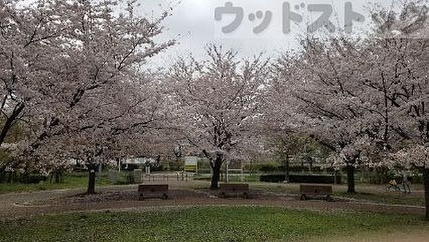 民設 萩山四季の森公園 徒歩15分。 1200m