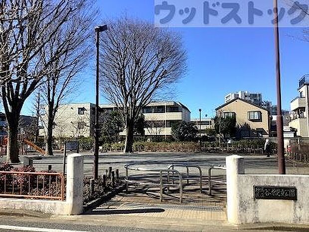 練馬区立 谷原児童公園 徒歩11分。 880m