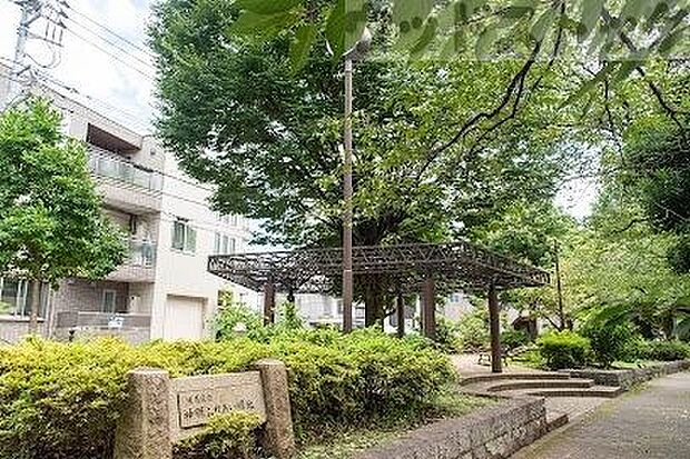 練馬区立 神明ふれあい緑地 徒歩7分。 510m