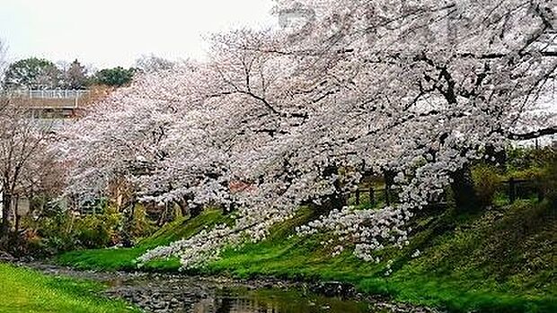 立川公園 徒歩17分。 1330m