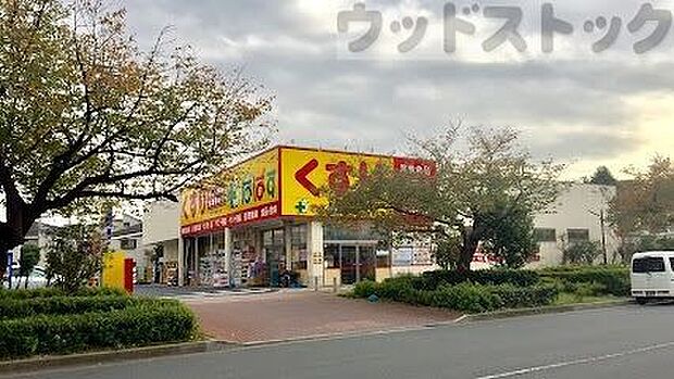 どらっぐぱぱす赤塚新町店 徒歩7分。 520m