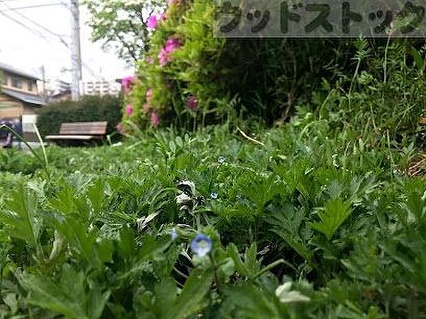 住吉第四公園 徒歩5分。 390m