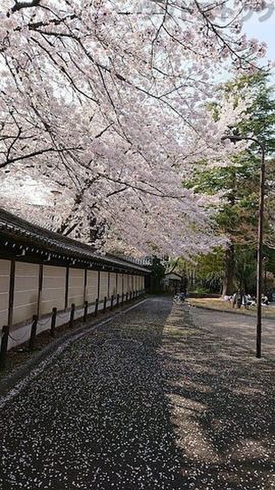 梅里公園 徒歩5分。 360m