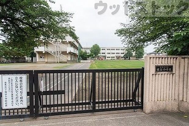 西東京市立保谷小学校 徒歩7分。 500m