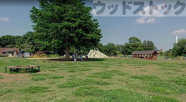 都立高井戸公園 徒歩14分。 1050m