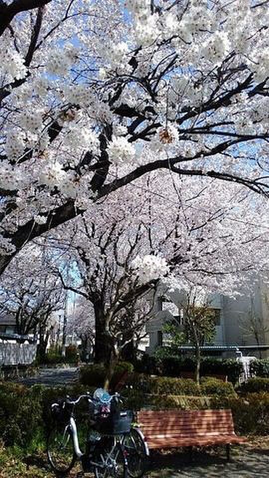 新町北公園 徒歩6分。 450m