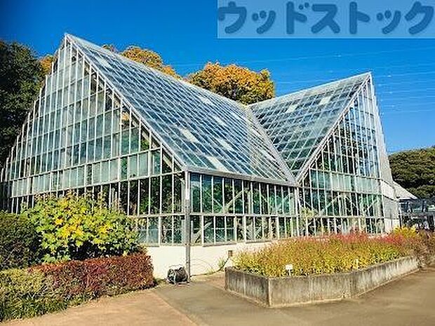 東京都薬用植物園 徒歩17分。 1290m