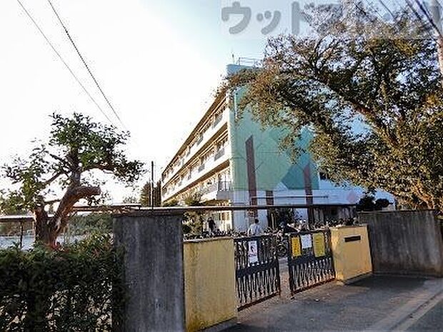 武蔵野市立関前南小学校 徒歩5分。 330m