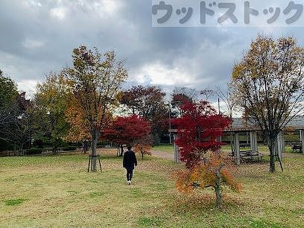 練馬区立大泉町もみじやま公園 徒歩3分。 220m