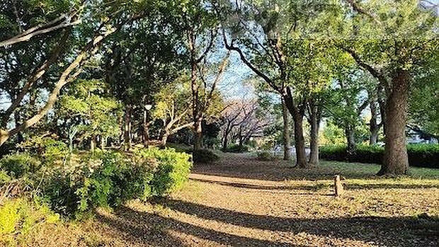 東京都立赤塚公園 辻山地区 徒歩9分。 710m