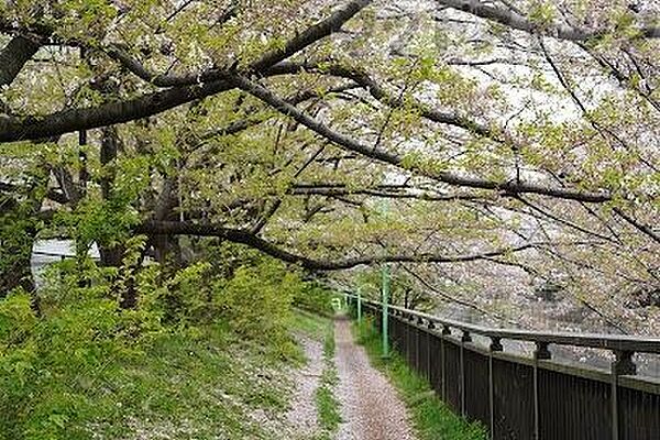 祖師谷公園 徒歩8分。 610m