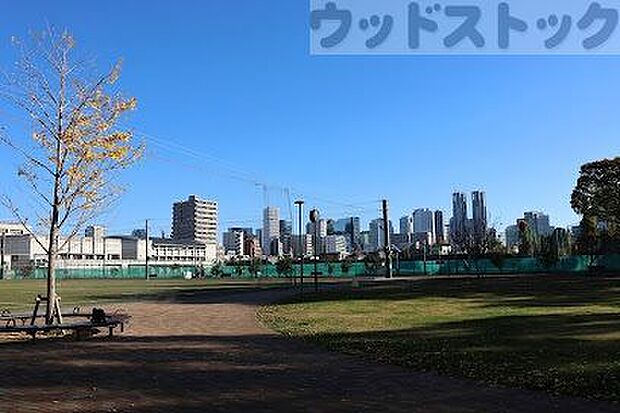 中野区立南台いちょう公園 徒歩5分。 350m
