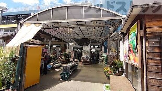 島忠 ホームズ中野本店 徒歩13分。 1000m