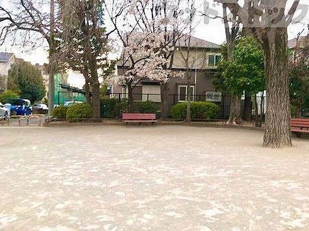 中野区立北中野公園 徒歩1分。 60m
