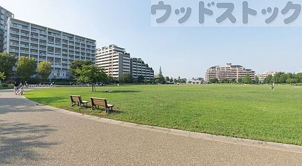 杉並区立桃井原っぱ公園 徒歩8分。 610m