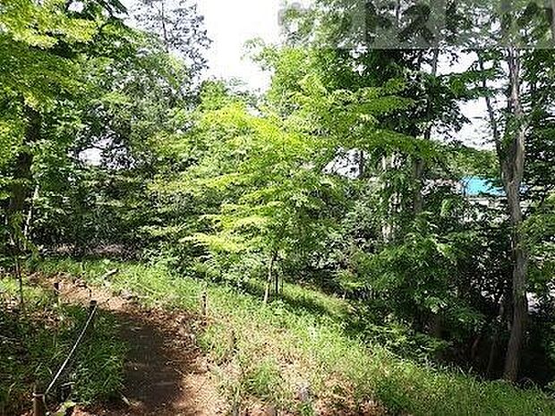 向山緑地公園 徒歩6分。 480m