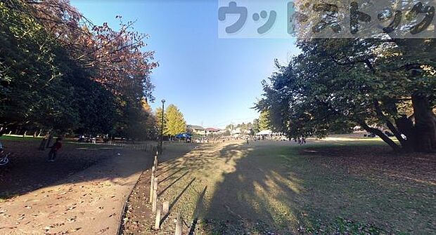 梶野公園 徒歩9分。 710m