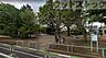 周辺：世田谷区立希望丘中公園 徒歩10分。 800m