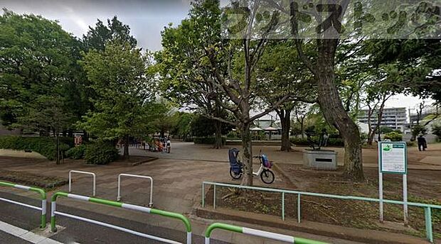 世田谷区立希望丘中公園 徒歩10分。 800m