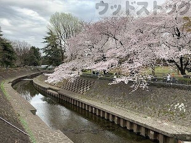 和田堀公園 徒歩10分。 750m