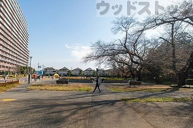おおぞら公園 徒歩10分。 770m