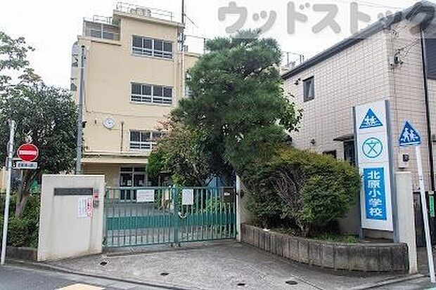 中野区立北原小学校 徒歩2分。 110m