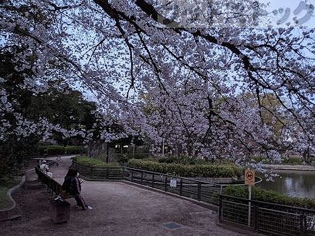 杉並区立妙正寺公園 徒歩18分。 1430m