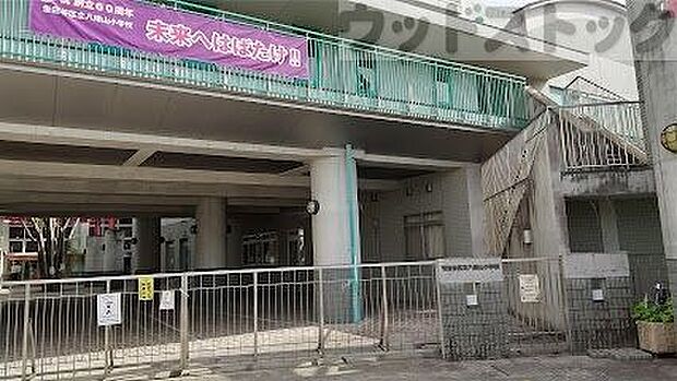 世田谷区立八幡山小学校 徒歩8分。 610m