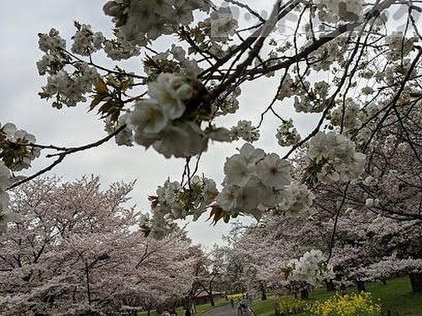 都立 小金井公園 徒歩14分。 1070m