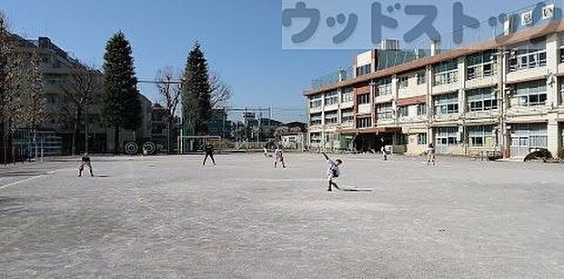 練馬区立石神井西小学校 徒歩9分。 690m