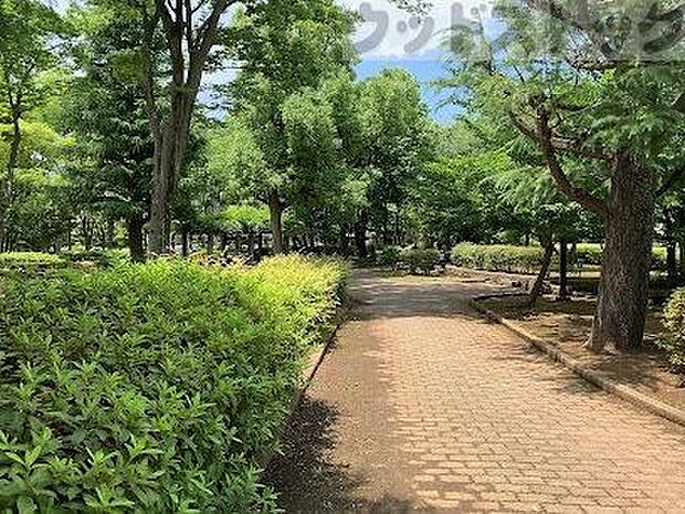 板橋区立赤塚新町公園 徒歩17分。 1300m