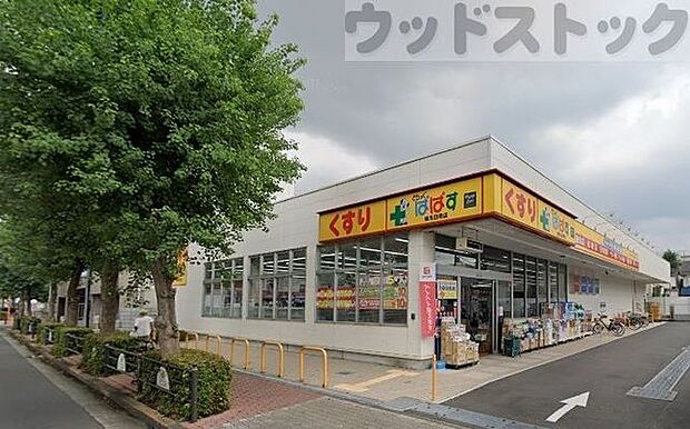 どらっぐぱぱす練馬田柄店 徒歩7分。 490m