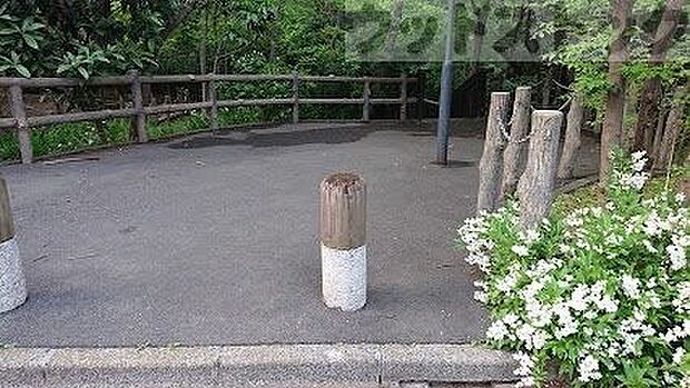 赤塚五丁目森の広場 徒歩7分。 500m