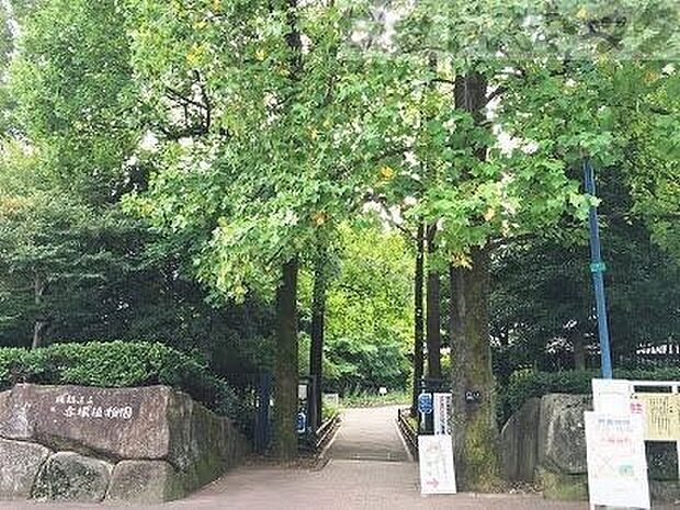 板橋区立赤塚植物園 徒歩4分。 310m