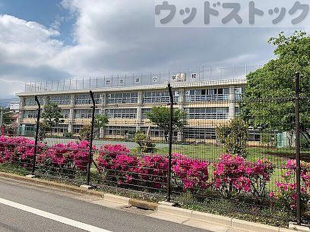 練馬区立北原小学校 徒歩5分。 360m