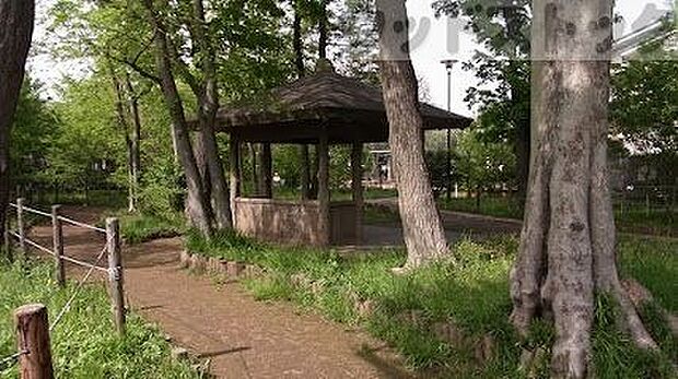 中野区立八成公園 徒歩13分。 1010m