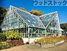 周辺：東京都薬用植物園 徒歩10分。 780m
