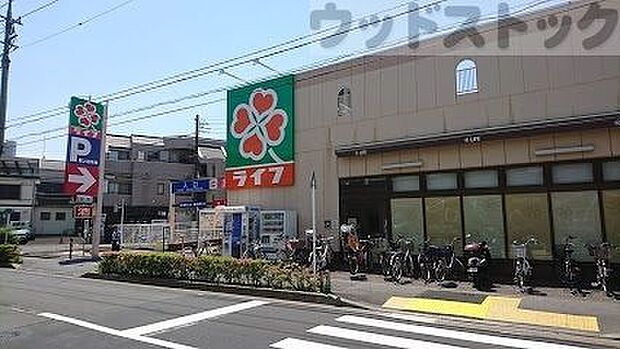 ライフ 中野新井店 徒歩7分。 550m