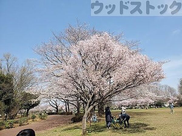 都立東村山中央公園 徒歩4分。 260m