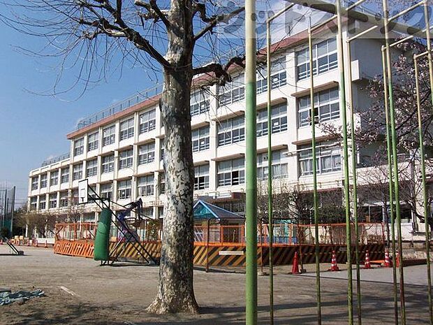 練馬区立泉新小学校 徒歩6分。 430m
