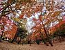 周辺：石神井公園 記念庭園 徒歩13分。 1020m