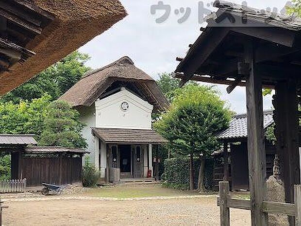 世田谷区立次大夫堀公園 徒歩4分。 250m