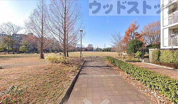 練馬区立中村かしわ公園 徒歩3分。 210m