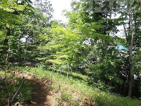 向山緑地公園 徒歩10分。 730m
