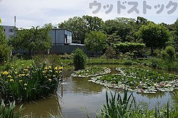 落合川水生公園 徒歩9分。 700m