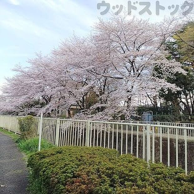 塚山公園 徒歩11分。 810m