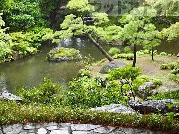 殿ヶ谷戸庭園 徒歩21分。 1610m