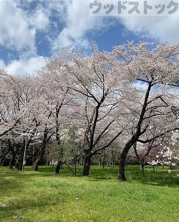 矢嶋公園 徒歩22分。 1690m
